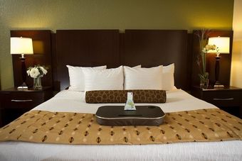 Best Western Plus Antioch Hotel & Suites