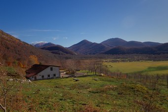 Agroturismo Agriturismo Falode