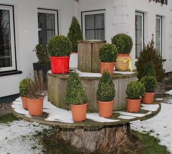 Hotel Seeblick