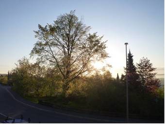 Hotel Am Wald