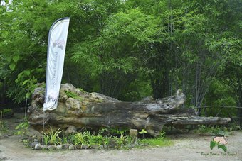 Hotel Bago Yoma Eco Resort