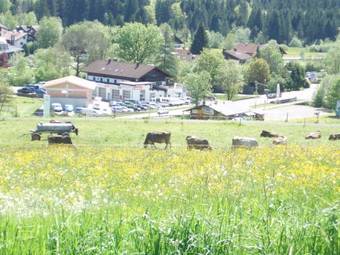 Hotel Alpenblick