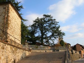 B&B Antica Scuderia