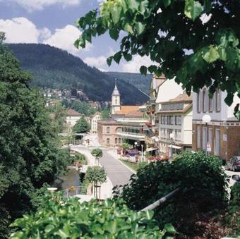 Hostal Hotel Traube