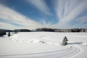Hostal Gasthaus Zum Hirschen