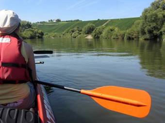 Hostal Guest House Pension Am Weinberg