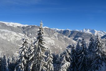 Chalet Pommat