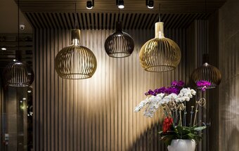 Sunflower Cbq Hotel