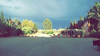 Ver fotos