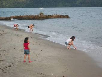 Ver fotos