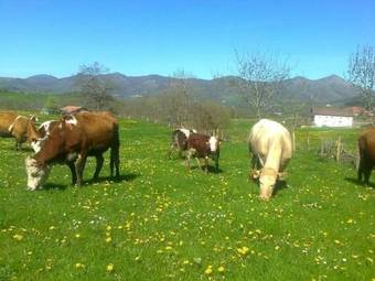 Agroturismo Apartamentos Rurales Kastonea