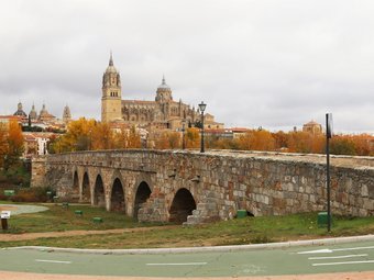 Ver fotos