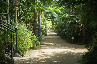 Hotel Airai Forest Villa