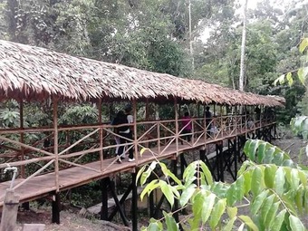 Posada Wimba Jungle Lodge