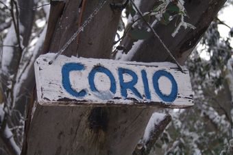 Ver fotos