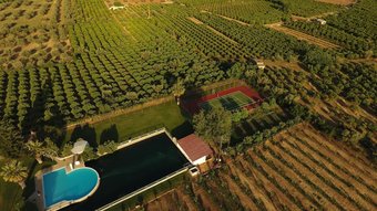 Orange Grove Villa