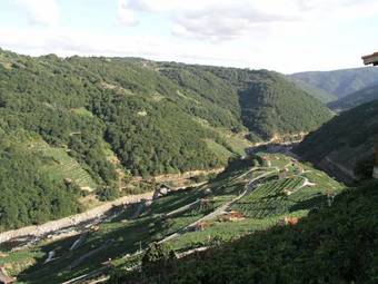 Hotel Mogay
