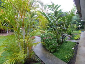 B&B Garden Grecia