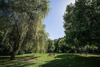 Camping de La Muse