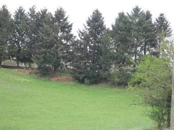 Domaine De Janis