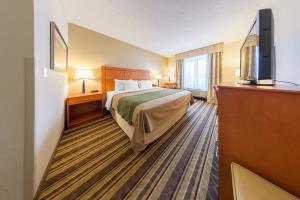 Hotel Comfort Inn Metro Airport