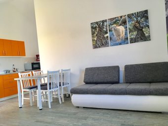 Apartments Suzana