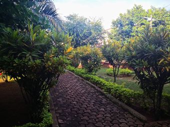 Apartamentos Dans Un Jardin Au Centre Ville