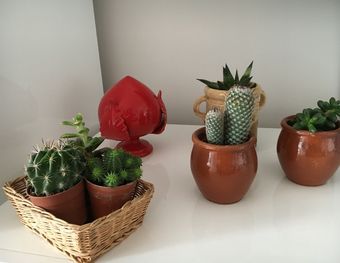 Ver fotos