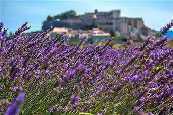 Villa With 3 Bedrooms In Riez, With Private Pool, Furnished Terrace And Wifi