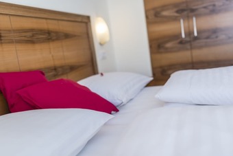 Hotel Elefant