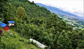Hotel Jungle Crown Organic Homestay