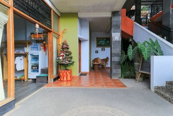 Ver fotos