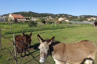 Gites Du Pagoulin