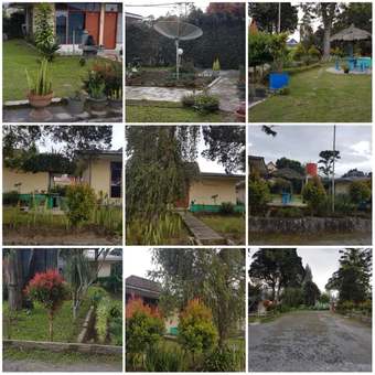 Ver fotos