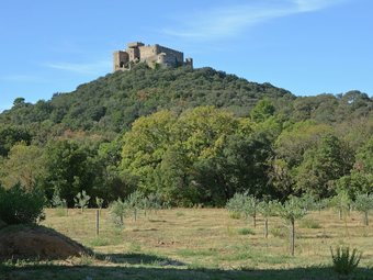 Villa Perfect Detached House In The Vineyards At The Abbey Of Fontfroide