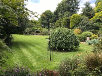 Beechwood B&B
