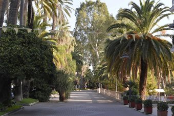 Hotel Petit Royal