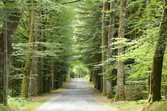 Les �tangs De Taysse