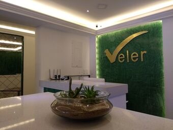 Hotel Veler