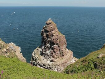 Cozy Apartment Near The Cliffs Of Cap Fr�hel