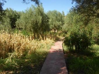 Chez Slimani
