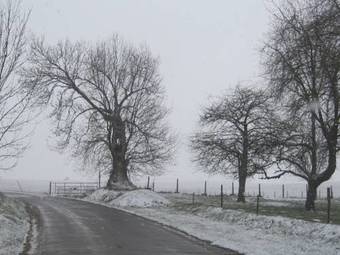 B&B Haspenhoeve