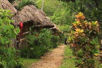 Hotel Clarissa Falls Resort