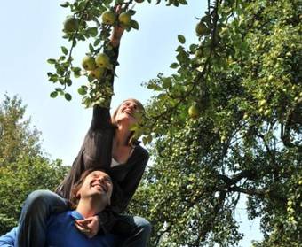 B&B Ch�teau De La Motte