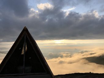 Hotel Bear Bungalov