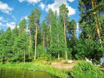 Koli Lotus Cottages