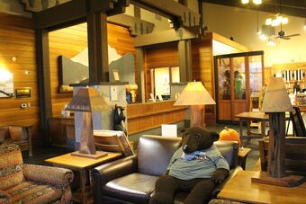 Hotel Wuksachi Lodge
