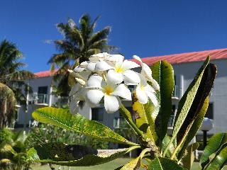 Hotel Garden Villa