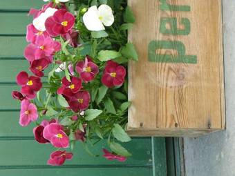 Stallg�rden B&B