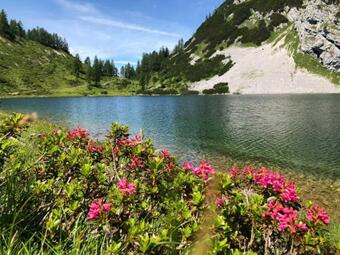 Ver fotos